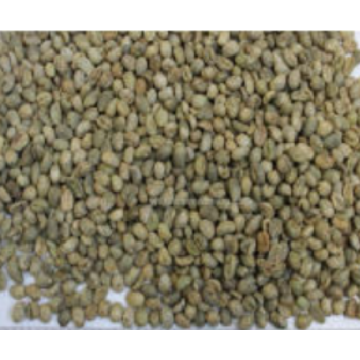 High Quality Raw Coffee Beans with Competitive Price